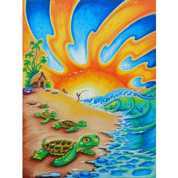 Drew Brophy - Canvas Turtle Beach