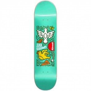 Almost - Skateistan Sky Doodle Mint 7.75