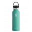 Hydro Flask - 21oz Mint Standard Mouth