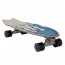 Carver - 30.75" Aipa "Sting" Surfskate Complete C7