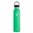 Hydro Flask - 24oz Std Mouth Flex Cap Spearmint
